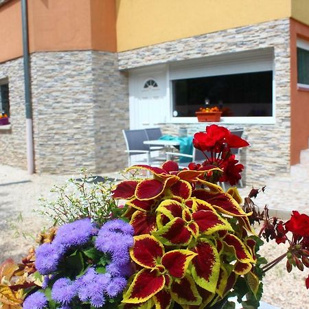 Apartamento La Halte Des Vignes - Route Des Vins D'Alsace Scherwiller Exterior foto