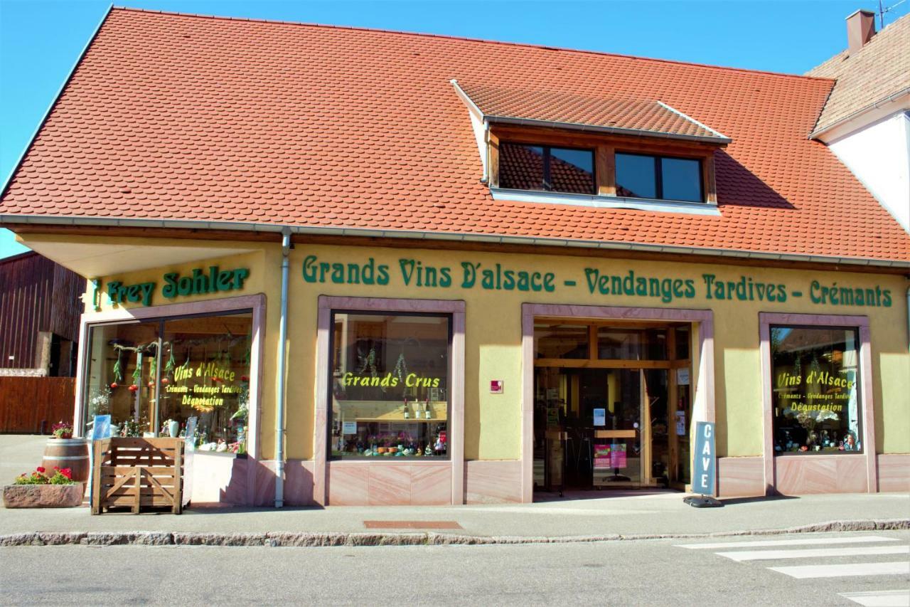 Apartamento La Halte Des Vignes - Route Des Vins D'Alsace Scherwiller Exterior foto