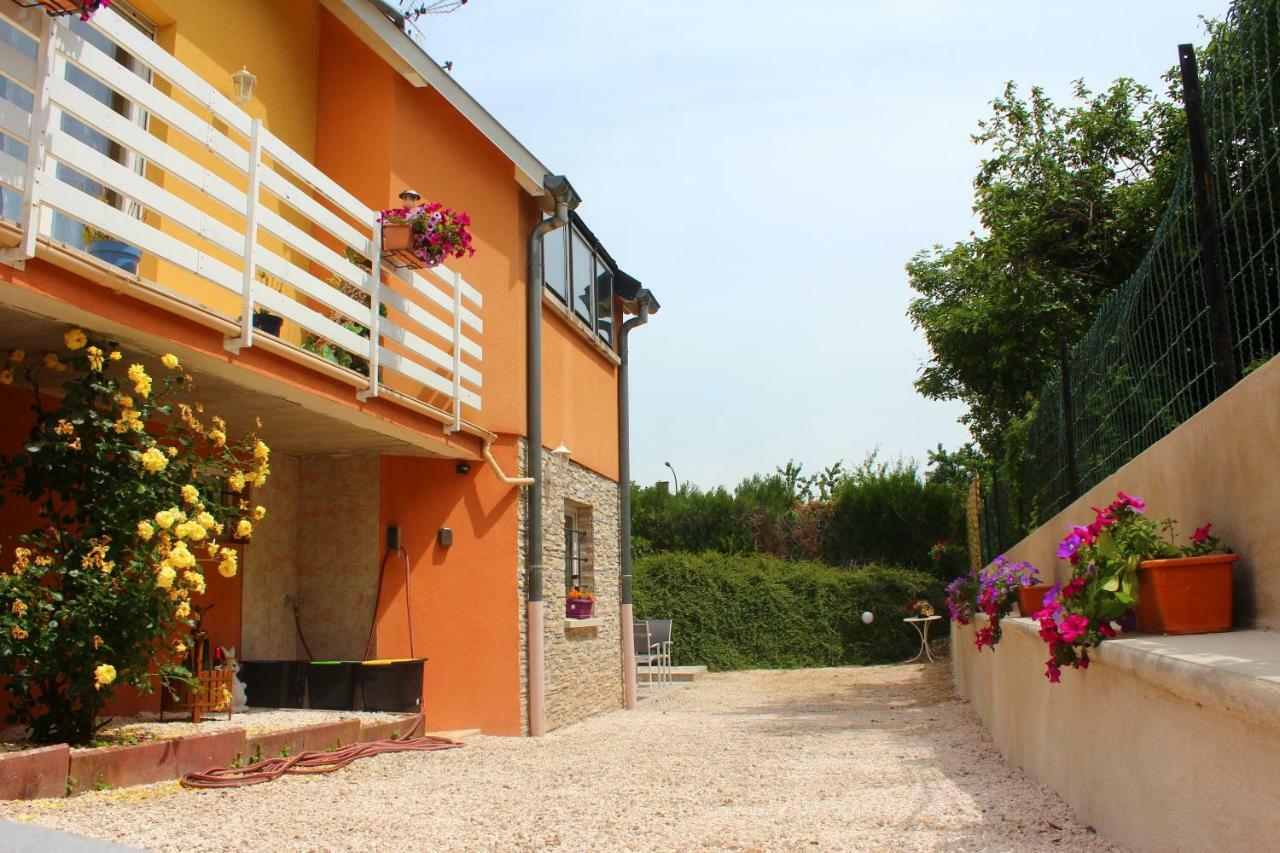 Apartamento La Halte Des Vignes - Route Des Vins D'Alsace Scherwiller Exterior foto