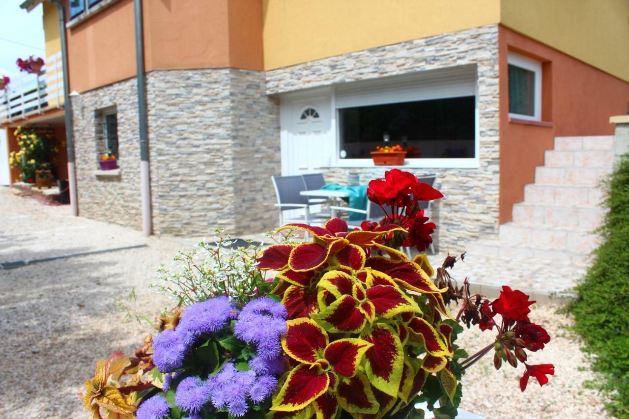 Apartamento La Halte Des Vignes - Route Des Vins D'Alsace Scherwiller Exterior foto